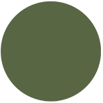 vert militaire
